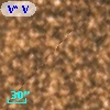 V* V5256 Sgr