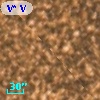 V* V5259 Sgr