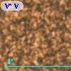 V* V5261 Sgr