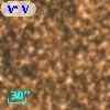 V* V5272 Sgr