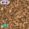V* V5309 Sgr