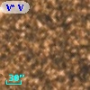 V* V5331 Sgr