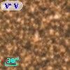 V* V5339 Sgr