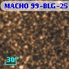 MACHO 99-BLG-25