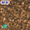 V* V1240 Sco