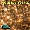 OGLE BUL-SC37 226174