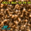 OGLE BUL-SC39 361372