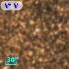 V* V5151 Sgr
