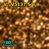 V* V5137 Sgr