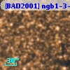 [BAD2001] ngb1-3-2540