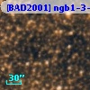 [BAD2001] ngb1-3-2548