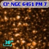 Cl* NGC 6451     PM       7