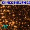 Cl* NGC 6451     PM      20