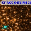 Cl* NGC 6451     PM      29