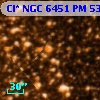 Cl* NGC 6451     PM      53