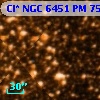 Cl* NGC 6451     PM      75
