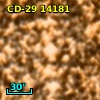 CD-29 14181