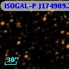 ISOGAL-P J174909.7-293027