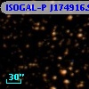 ISOGAL-P J174916.9-293144