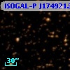ISOGAL-P J174921.5-293108