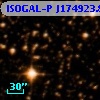 ISOGAL-P J174923.8-292534
