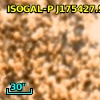 ISOGAL-P J175427.9-295128