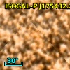 ISOGAL-P J175432.2-295244