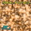 ISOGAL-P J175432.3-295040