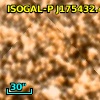 ISOGAL-P J175432.4-295302
