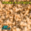 ISOGAL-P J175432.6-294950