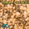 ISOGAL-P J175432.9-295049