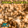 ISOGAL-P J175433.6-295324