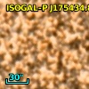 ISOGAL-P J175434.8-294938