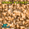 ISOGAL-P J175437.3-295249