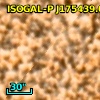ISOGAL-P J175439.0-294836