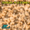 ISOGAL-P J175440.4-294823