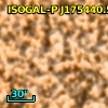 ISOGAL-P J175440.5-295103