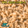 ISOGAL-P J175441.1-294931