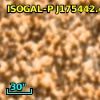 ISOGAL-P J175442.4-295216