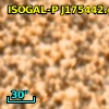ISOGAL-P J175442.4-294848