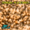 ISOGAL-P J175443.3-294622