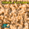 ISOGAL-P J175444.0-295005