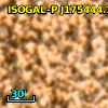 ISOGAL-P J175444.1-295058