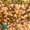 ISOGAL-P J175444.9-294640