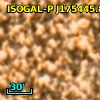 ISOGAL-P J175445.8-295301