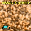 ISOGAL-P J175445.9-294600