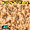 ISOGAL-P J175446.1-294936