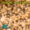 ISOGAL-P J175447.6-294819
