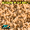ISOGAL-P J175447.9-295137