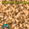ISOGAL-P J175448.8-295151